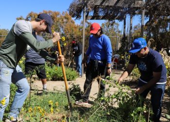 Futuros docentes se capacitan para crear huertos escolares sustentables