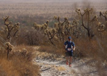 Arranca Gobierno de Sonora con éxito la tercera edición de la Gran Carrera del Desierto en Puerto Peñasco
