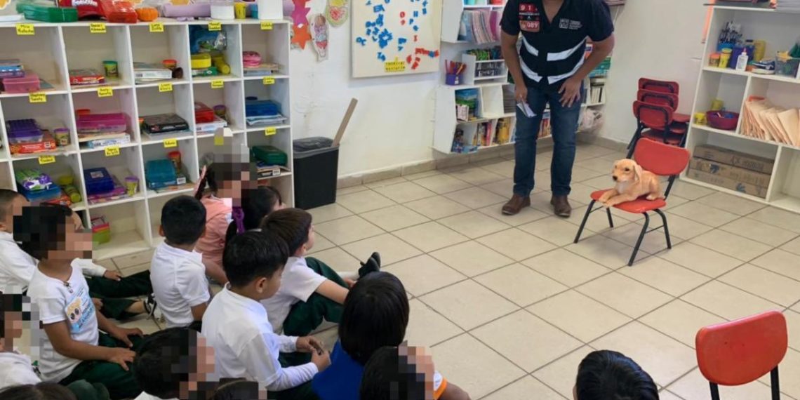 Previene Gobierno de Sonora el delito de maltrato animal