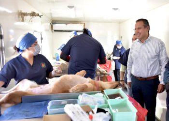 Atestigua Antonio Astiazarán jornada gratuita de esterilización de mascotas en Hermosillo