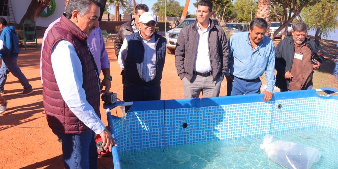 Firma Gobierno Municipal de Cajeme convenio de colaboración con Instituto de Acuacultura del Estado de Sonora