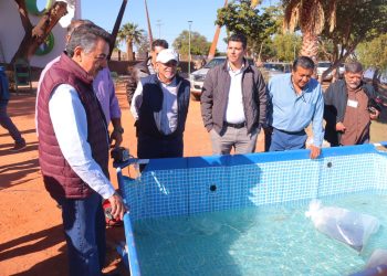 Firma Gobierno Municipal de Cajeme convenio de colaboración con Instituto de Acuacultura del Estado de Sonora