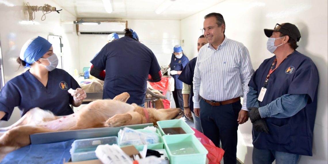 Aplicará Toño Astiazarán exitoso programa de Equilibrio Poblacional de animales de compañía sin hogar