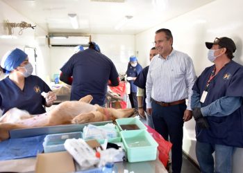 Aplicará Toño Astiazarán exitoso programa de Equilibrio Poblacional de animales de compañía sin hogar