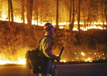 Devastan incendios en Estados Unidos
