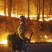 Devastan incendios en Estados Unidos