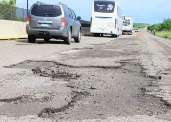 Dañan por Tren Maya 17 carreteras federales