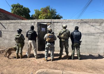 Fuerza de Tarea Interinstitucional (FTI) asegura drogas tras cateo en Ciudad Obregón