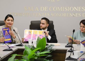Comisiones unidas del Congreso de Sonora impulsan la protección integral de la niñez y adolescencia