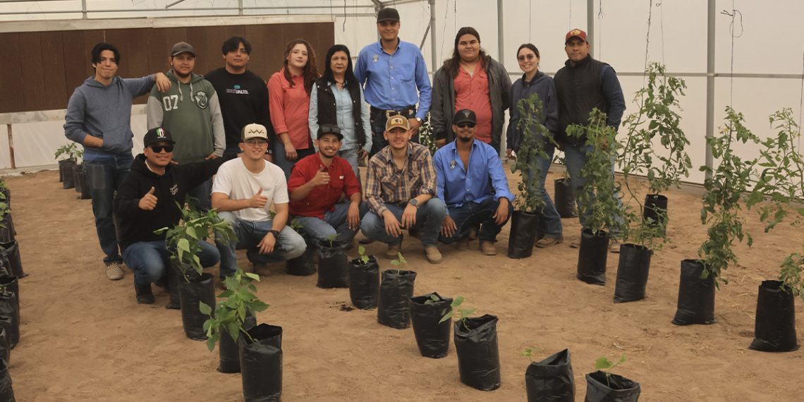 Inicia actividades invernadero del Departamento de Agricultura y Ganadería de Unison