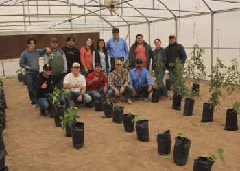 Inicia actividades invernadero del Departamento de Agricultura y Ganadería de Unison