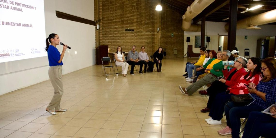 Mantienen Gobierno de Sonora y sociedad civil reuniones informativas sobre proyecto de Clínicas de Bienestar Animal