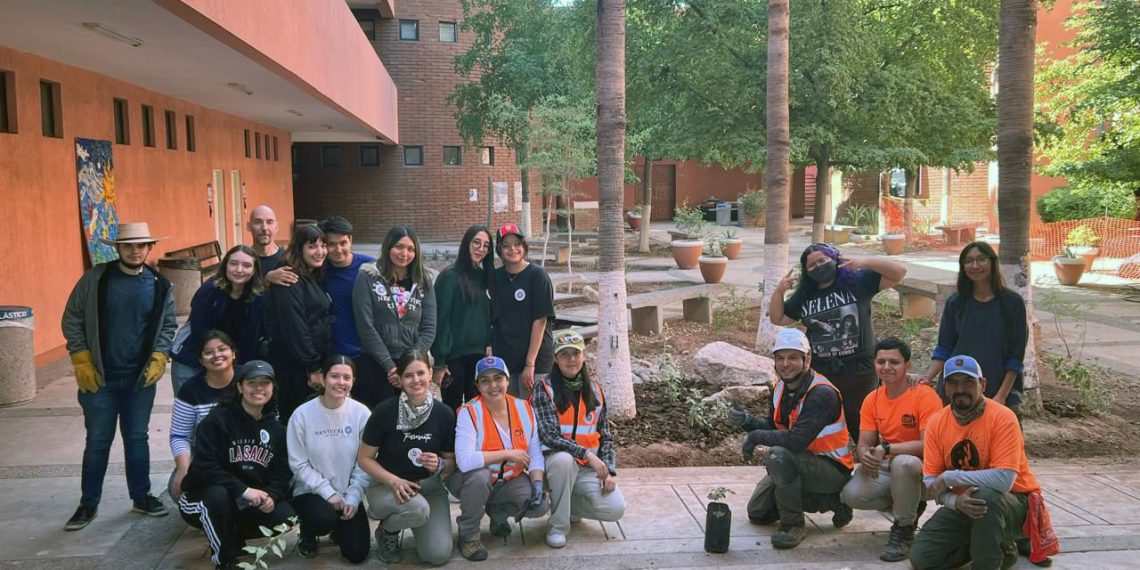 Plantan especies nativas en Jardín Polinizador del Departamento de Arquitectura y Diseño