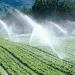 70% del agua es para agricultura y de esa el 70% se desperdicia: Carabias