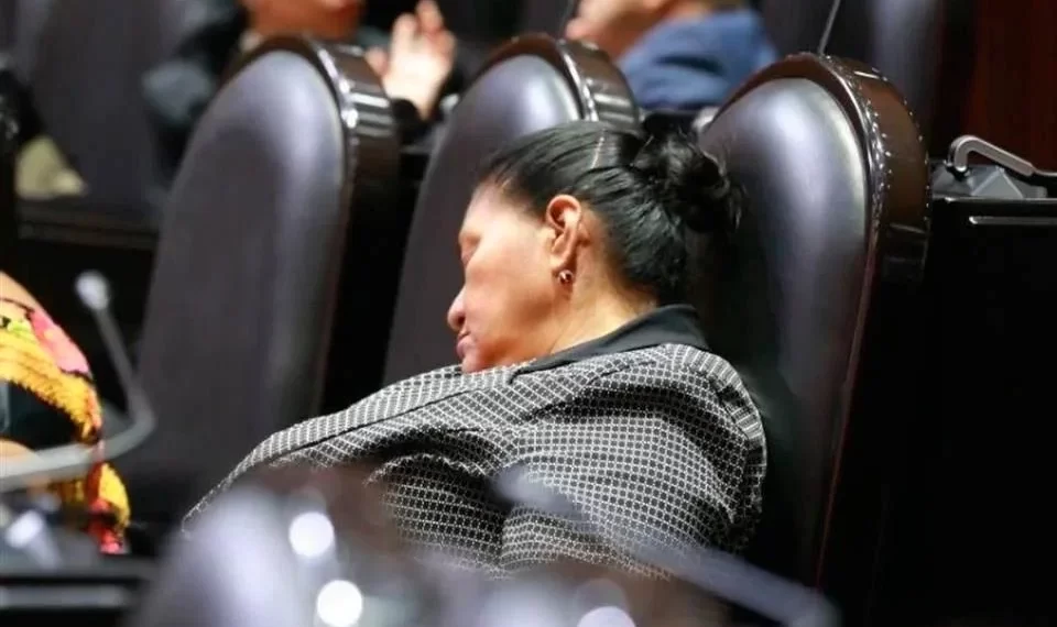 Diputada de Morena se queda dormida… ¡en plena sesión!