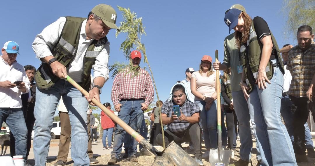 Llevan Toño Astiazarán y Patty Ruibal Hermosillo Crece Verde a La Cholla, con mega reforestación