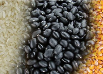 Récord en importaciones de frijol y arroz a México