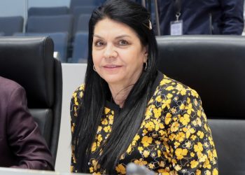 Aprueban diputados de Morena en el Congreso un presupuesto responsable, austero y eficiente