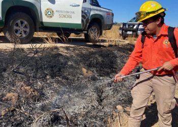 Liquida incendio forestal en San Miguel de Horcasitas la brigada estatal de manejo de fuego junto con autoridades municipales
