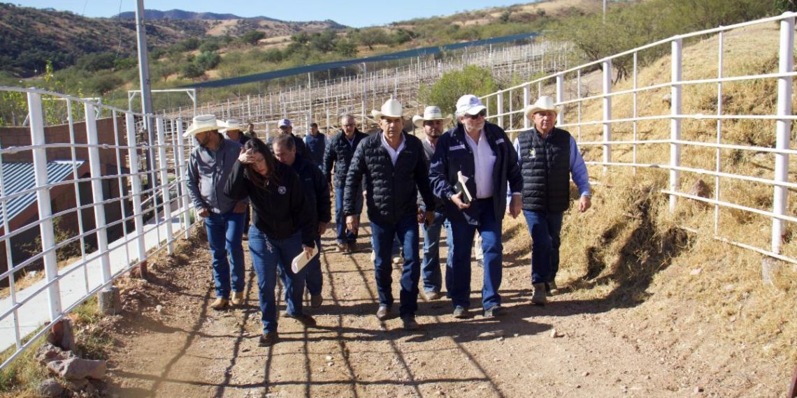 Gobierno de Sonora y Federación trabajan con Estados Unidos por el bienestar de ganaderos