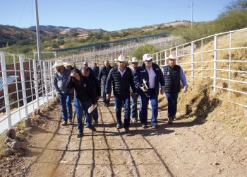 Gobierno de Sonora y Federación trabajan con Estados Unidos por el bienestar de ganaderos