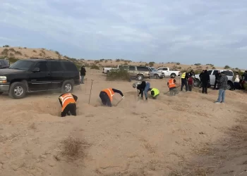 Encuentran restos humanos en zona desértica de San Luis RC