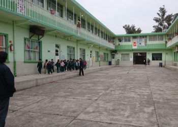 En picada, matrícula en primarias públicas