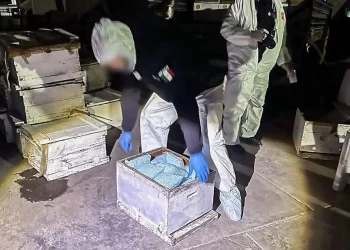 Decomisan camión de pasajeros en Sonora que transportaba fentanilo