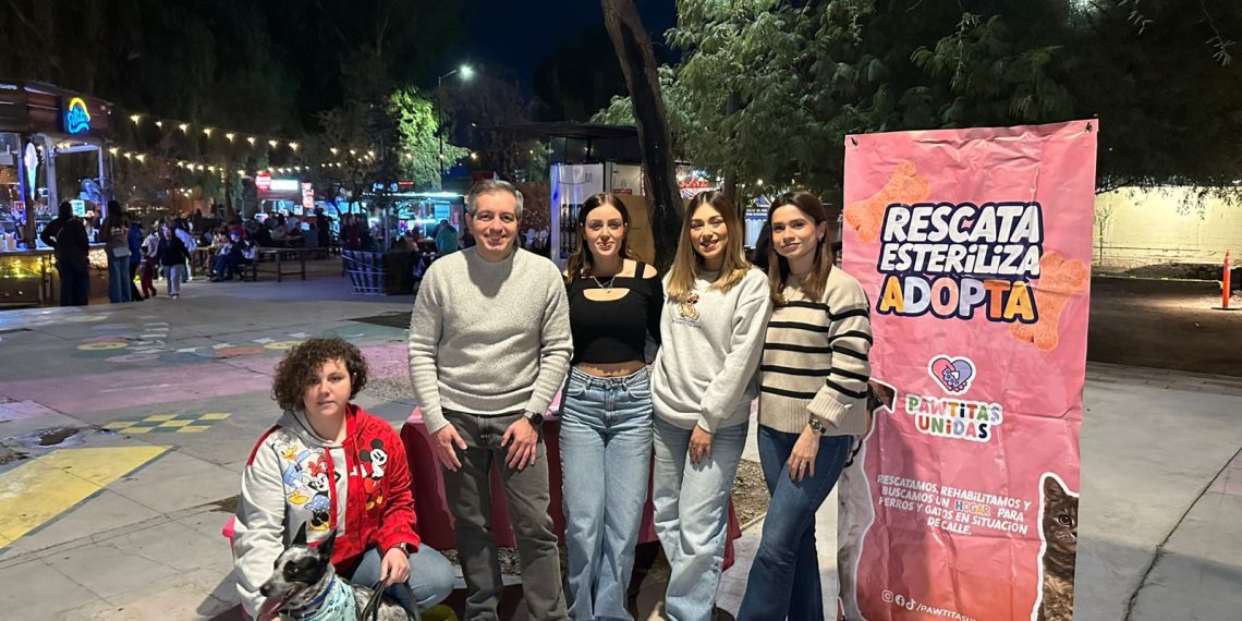 Recolecta sociedad civil y diputado Omar Del Valle tres toneladas de croquetas