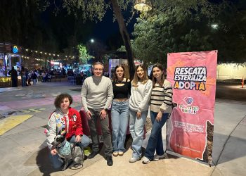 Recolecta sociedad civil y diputado Omar Del Valle tres toneladas de croquetas