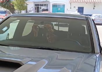 Reinicia Gobierno de Sonora en Navojoa colocación de holograma de nueva generación: Repuve Sonora