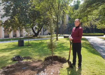 Claudia Sheinbaum envía mensaje por Año Nuevo: augura que 2025 ‘será un muy buen año’