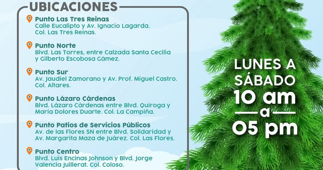 Recibirá Ayuntamiento de Hermosillo durante todo enero los pinos naturales en centros de acopio