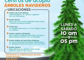 Recibirá Ayuntamiento de Hermosillo durante todo enero los pinos naturales en centros de acopio