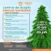 Recibirá Ayuntamiento de Hermosillo durante todo enero los pinos naturales en centros de acopio