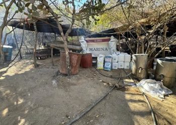 Aseguran narcolaboratorio en Álamos, al sur de Sonora