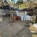 Aseguran narcolaboratorio en Álamos, al sur de Sonora