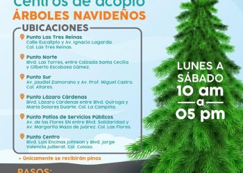 Invita Ayuntamiento de Hermosillo a depositar árboles navideños en centros de acopio