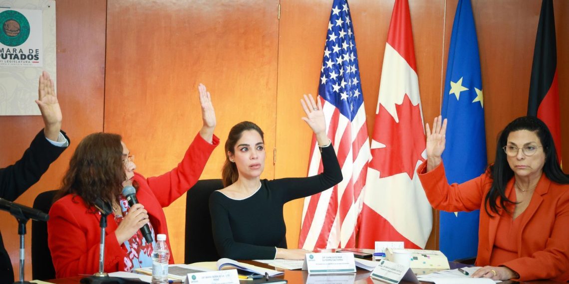 Aprobamos modificación al Art 21 a la Ley de Servicio Exterior Mexicano en la Comisión de Relaciones Exteriores de la Cámara de Diputados: Diana Karina Barreras