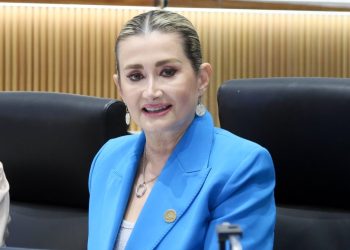 Conmemora Diputada Ely Sallard Día Nacional de la Vivienda