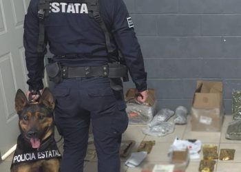 Generan resultados operativos del Gobierno de Sonora en paqueterías de Hermosillo