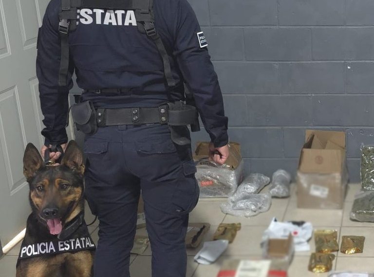 Generan resultados operativos del Gobierno de Sonora en paqueterías de Hermosillo