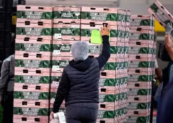 Bajaron 20% envíos de aguacate a EU para Super Bowl