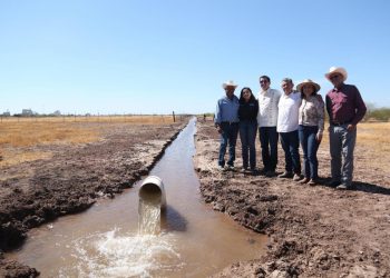 Gobierno de Sonora reactiva tierras al cultivo con obra hidroagrícola en Navojoa