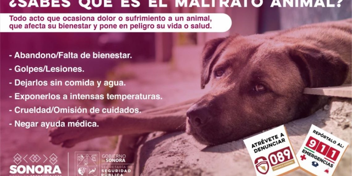Promueve Secretaría de Seguridad Pública la denuncia hacia el maltrato animal