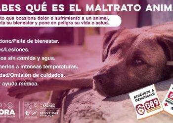 Promueve Secretaría de Seguridad Pública la denuncia hacia el maltrato animal