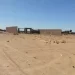 Localizan dos cuerpos en predio baldío en la colonia Topahue de San Luis Río Colorado