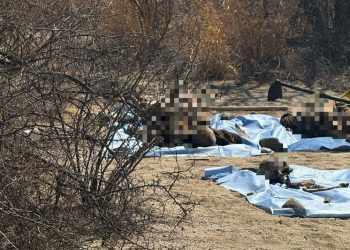 Descubren otra fosa clandestina con varios cuerpos en Hermosillo