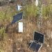 Desmantelan campamento delictivo en Sinaloa