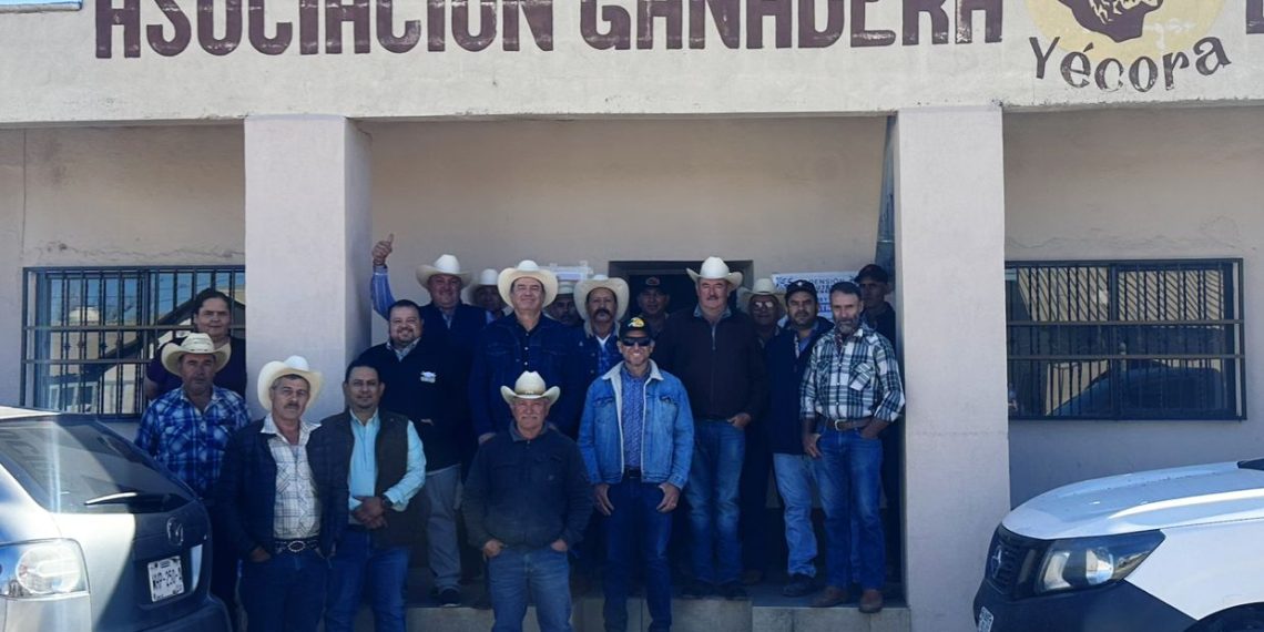 Actualiza Gobierno de Sonora a técnicos y productores sobre exportación de ganado